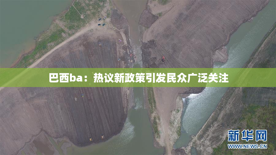 巴西ba：热议新政策引发民众广泛关注
