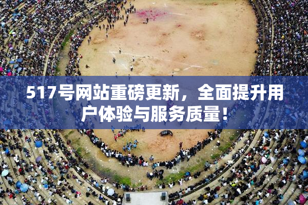 517号网站重磅更新，全面提升用户体验与服务质量！
