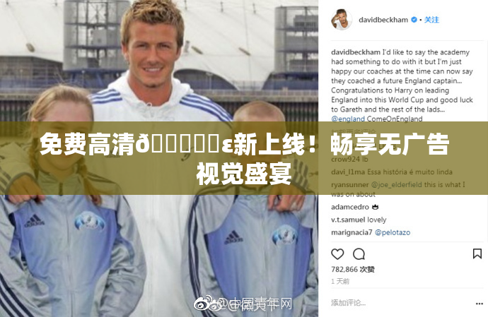 免费高清🔞❌‌ε新上线！畅享无广告视觉盛宴