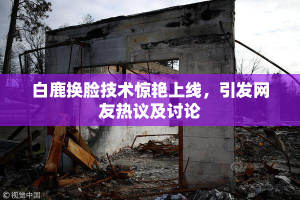 白鹿换脸技术惊艳上线，引发网友热议及讨论