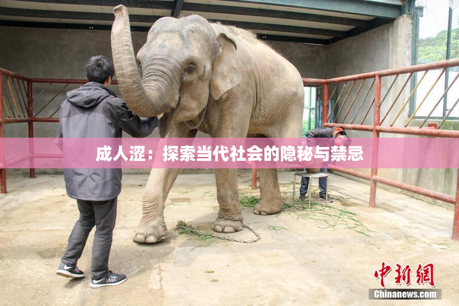 成人涩：探索当代社会的隐秘与禁忌