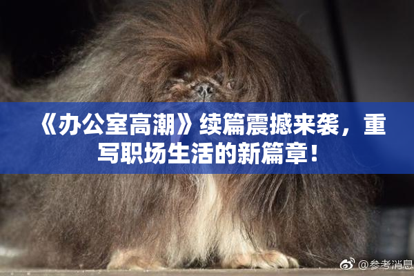 《办公室高潮》续篇震撼来袭，重写职场生活的新篇章！