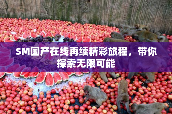 SM国产在线再续精彩旅程，带你探索无限可能