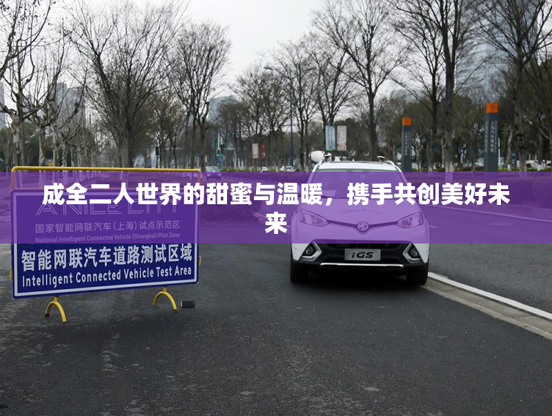 成全二人世界的甜蜜与温暖，携手共创美好未来