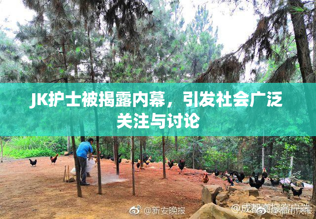 JK护士被揭露内幕，引发社会广泛关注与讨论