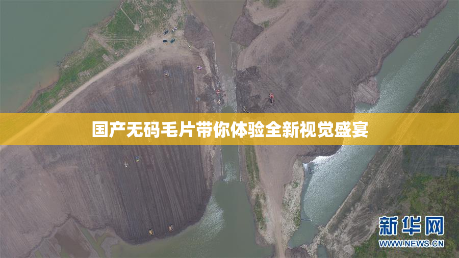 国产无码毛片带你体验全新视觉盛宴