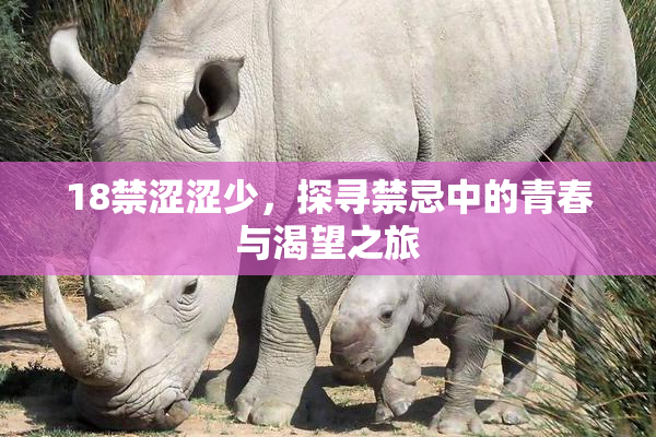18禁涩涩少，探寻禁忌中的青春与渴望之旅