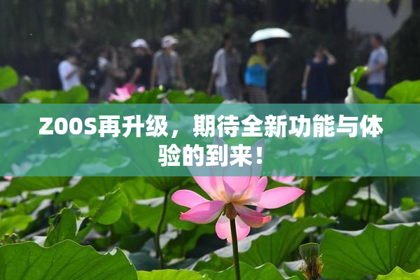Z00S再升级，期待全新功能与体验的到来！
