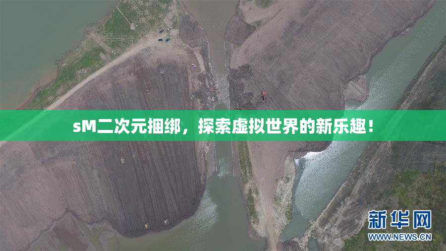 sM二次元捆绑，探索虚拟世界的新乐趣！