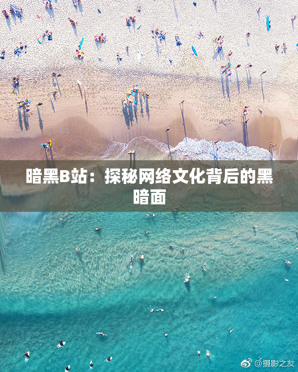 暗黑B站：探秘网络文化背后的黑暗面