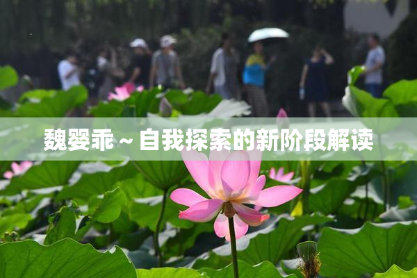 魏婴乖～自我探索的新阶段解读