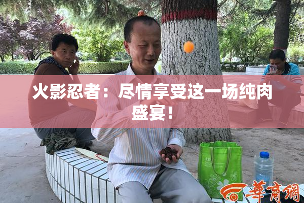 火影忍者：尽情享受这一场纯肉盛宴！
