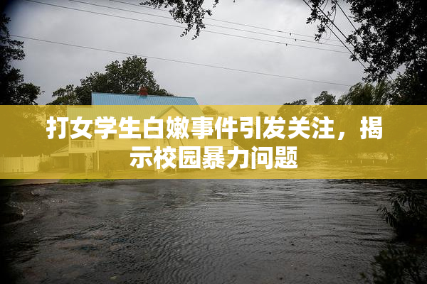 打女学生白嫩事件引发关注，揭示校园暴力问题