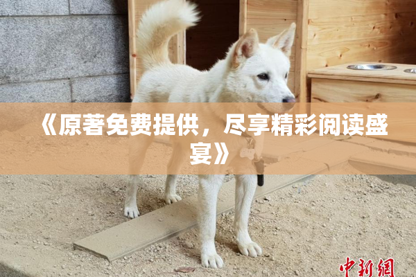 《原著免费提供，尽享精彩阅读盛宴》
