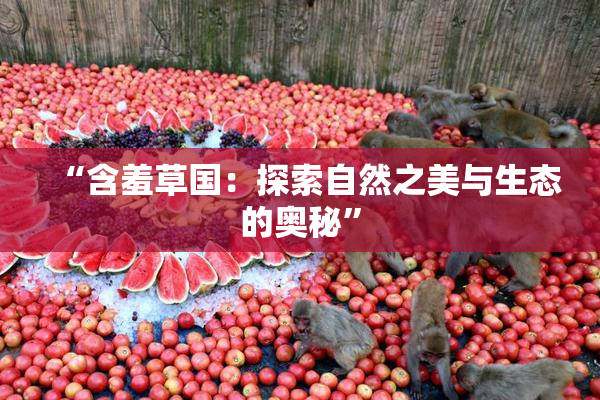 “含羞草国：探索自然之美与生态的奥秘”