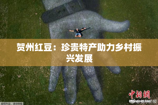 贺州红豆：珍贵特产助力乡村振兴发展