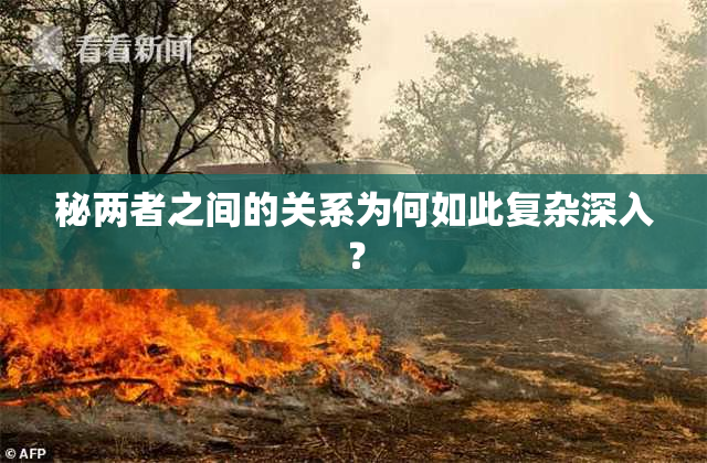 秘两者之间的关系为何如此复杂深入？