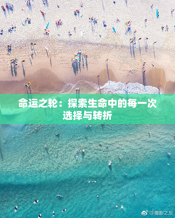 命运之轮：探索生命中的每一次选择与转折