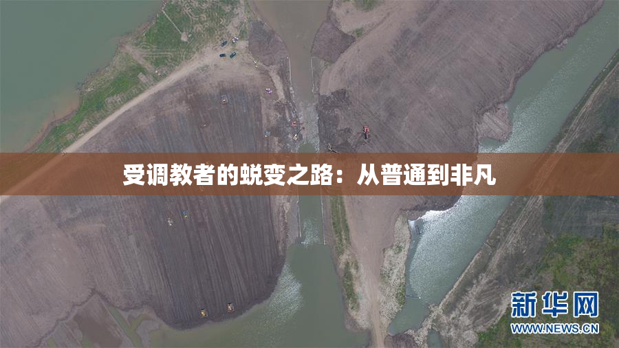 受调教者的蜕变之路：从普通到非凡