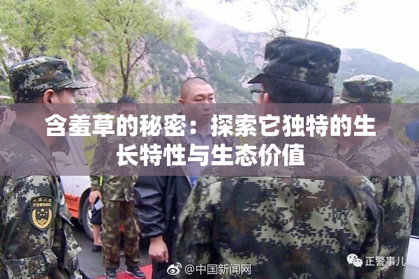 含羞草的秘密：探索它独特的生长特性与生态价值