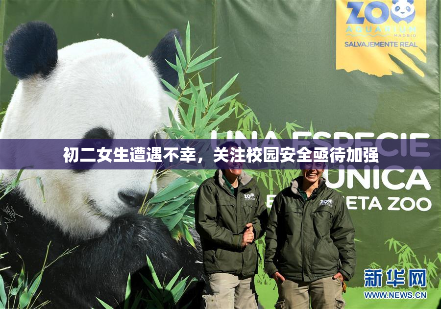 初二女生遭遇不幸，关注校园安全亟待加强