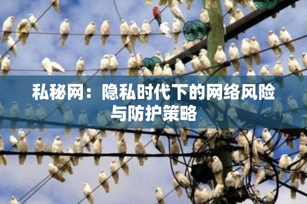 私秘网：隐私时代下的网络风险与防护策略