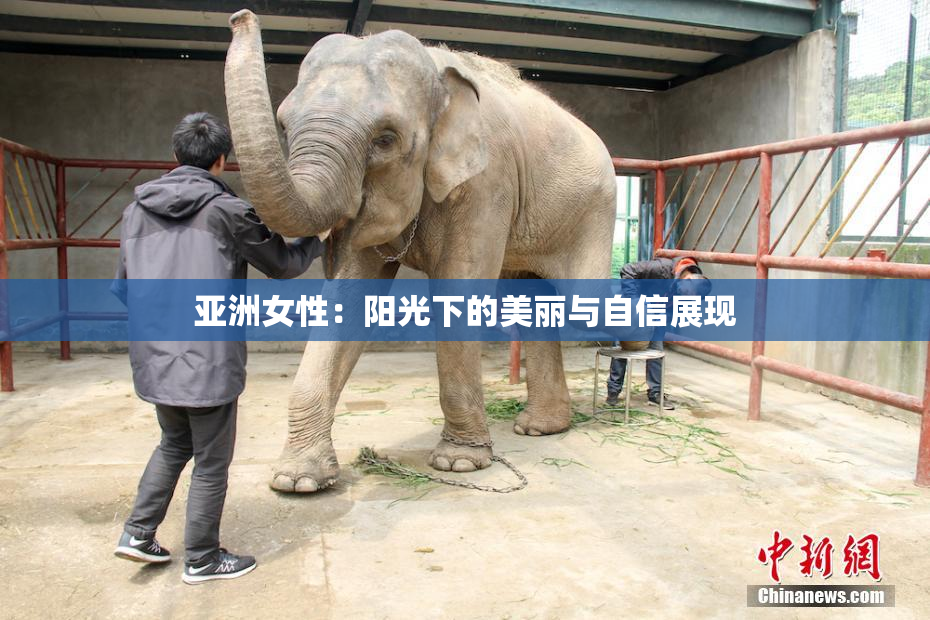 亚洲女性：阳光下的美丽与自信展现