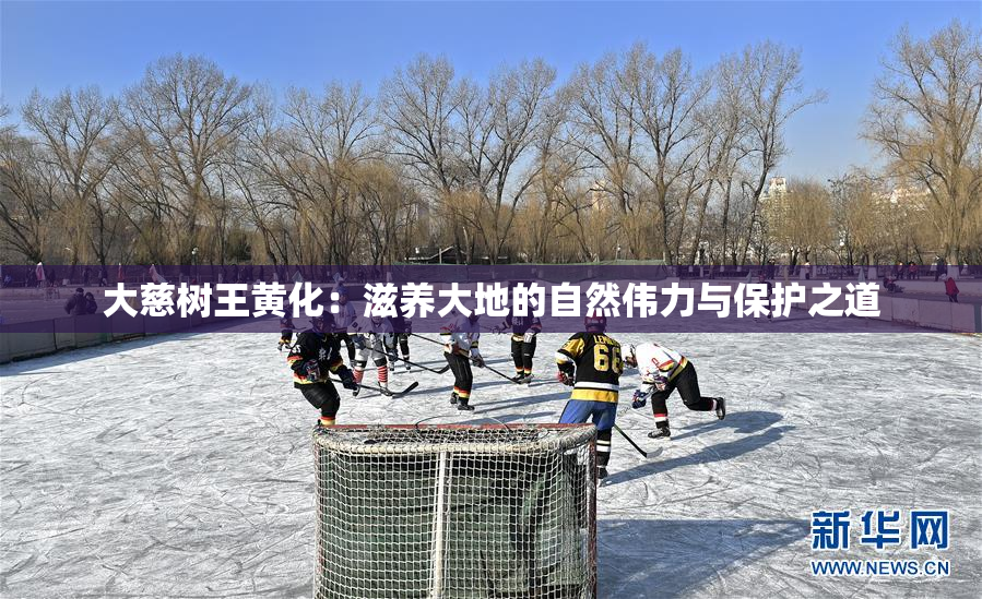 大慈树王黄化：滋养大地的自然伟力与保护之道