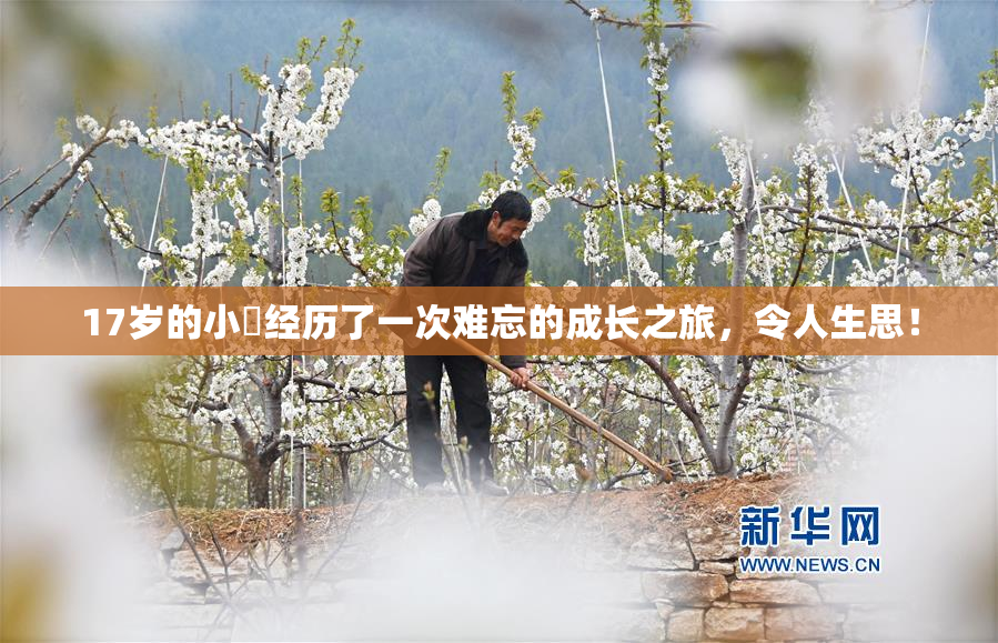 17岁的小泬经历了一次难忘的成长之旅，令人生思！