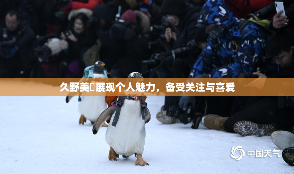 久野美咲展现个人魅力，备受关注与喜爱