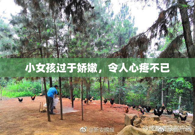 小女孩过于娇嫩，令人心疼不已