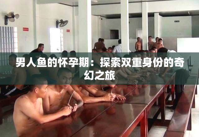 男人鱼的怀孕期：探索双重身份的奇幻之旅