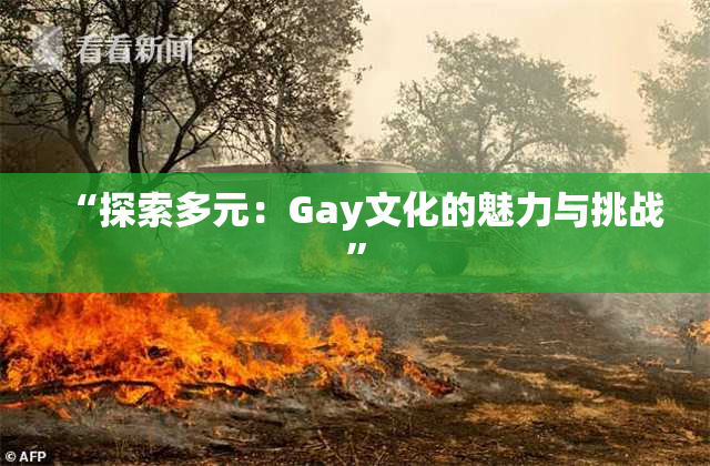 “探索多元：Gay文化的魅力与挑战”