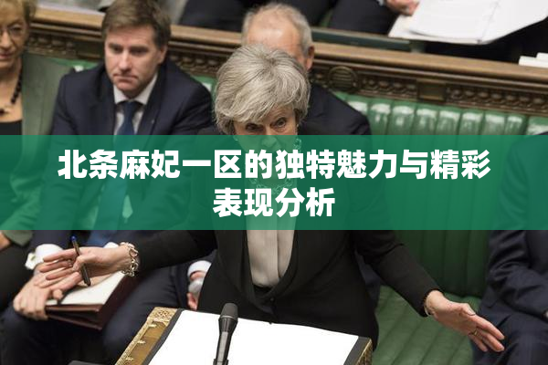 北条麻妃一区的独特魅力与精彩表现分析