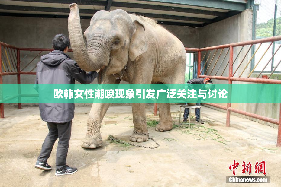 欧韩女性潮喷现象引发广泛关注与讨论