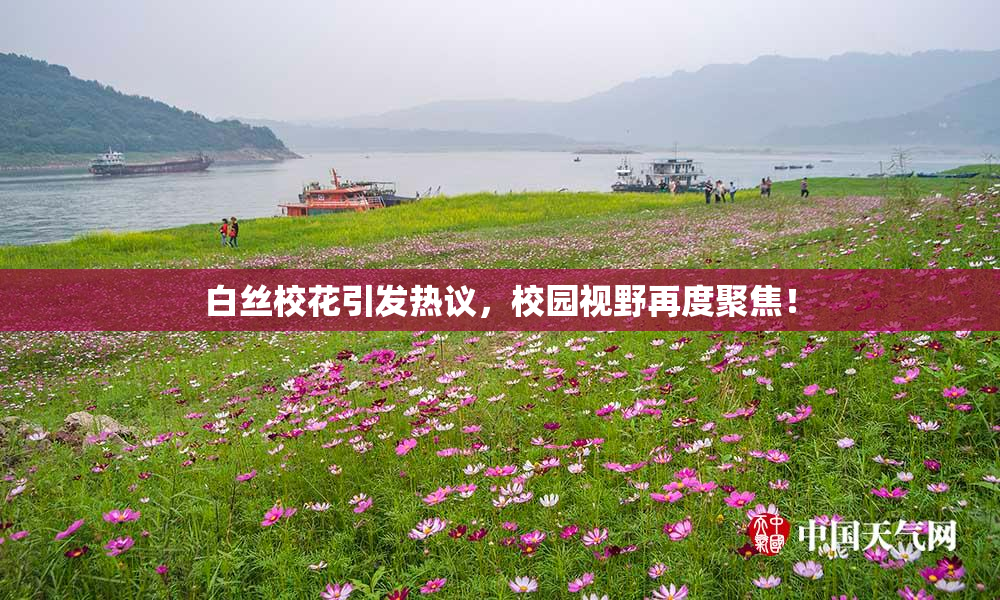 白丝校花引发热议，校园视野再度聚焦！