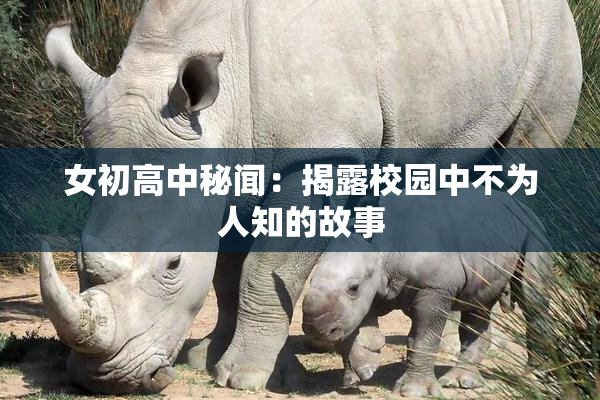 女初高中秘闻：揭露校园中不为人知的故事