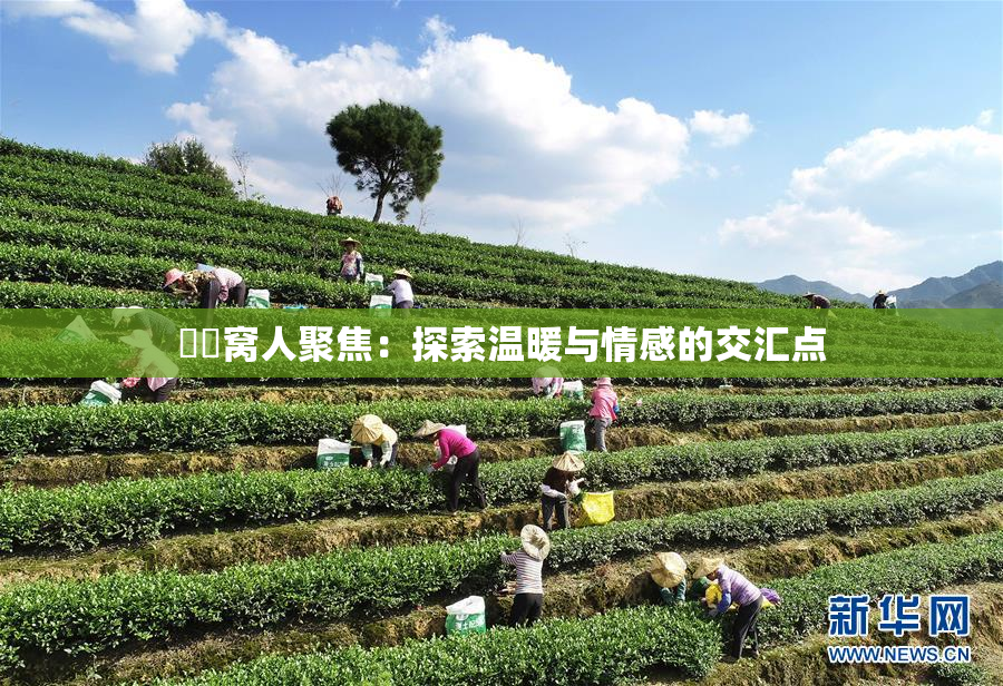 妺妺窝人聚焦：探索温暖与情感的交汇点