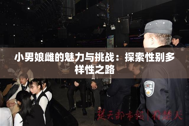 小男娘雌的魅力与挑战：探索性别多样性之路