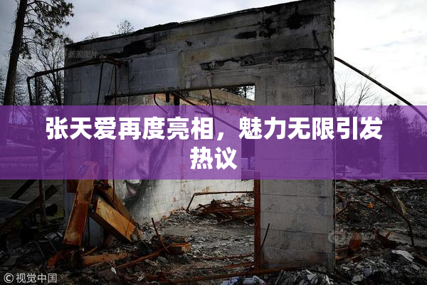 张天爱再度亮相，魅力无限引发热议