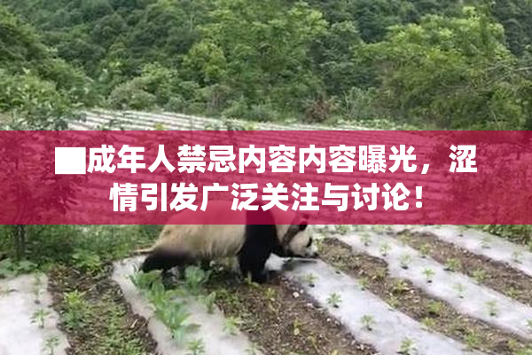 ▇成年人禁忌内容内容曝光，涩情引发广泛关注与讨论！