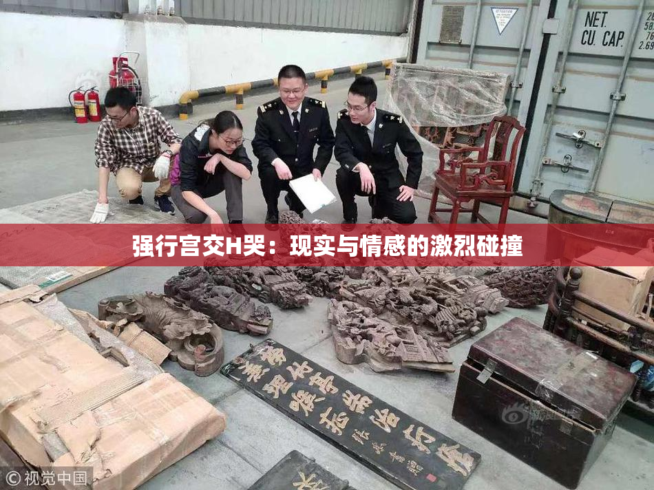 强行宫交H哭：现实与情感的激烈碰撞