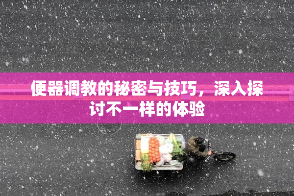 便器调教的秘密与技巧，深入探讨不一样的体验