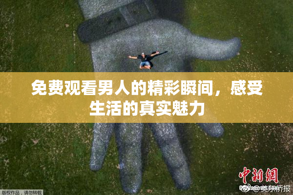 免费观看男人的精彩瞬间，感受生活的真实魅力