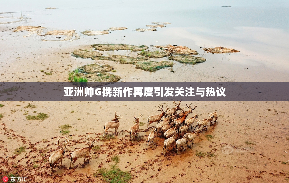 亚洲帅G携新作再度引发关注与热议