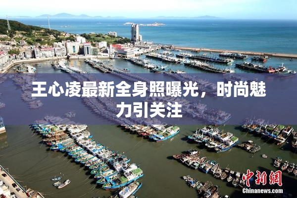 王心凌最新全身照曝光，时尚魅力引关注