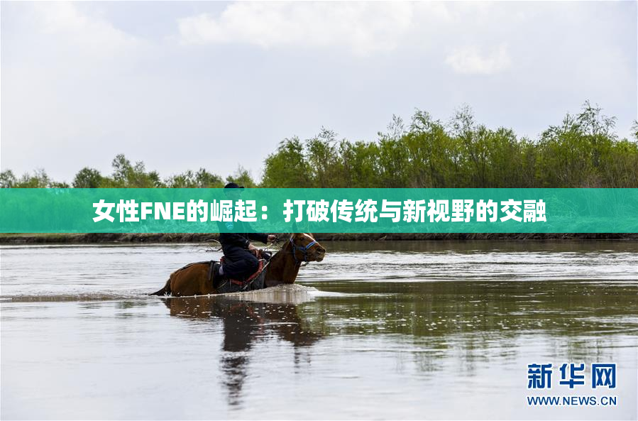 女性FNE的崛起：打破传统与新视野的交融