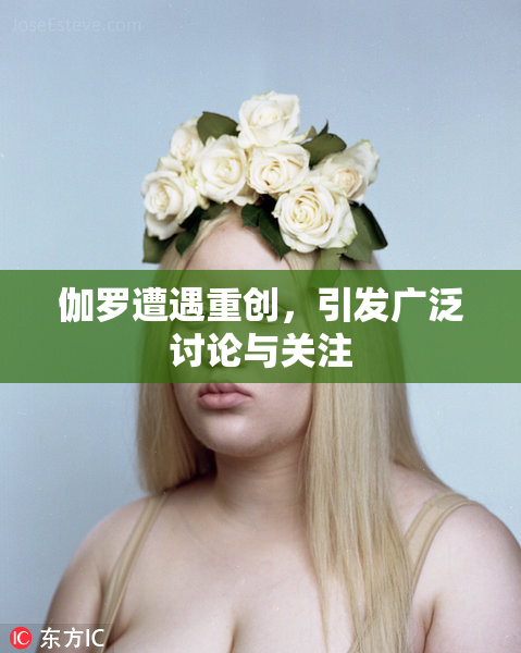 伽罗遭遇重创，引发广泛讨论与关注