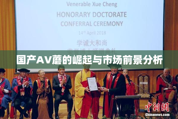 国产AV蘑的崛起与市场前景分析