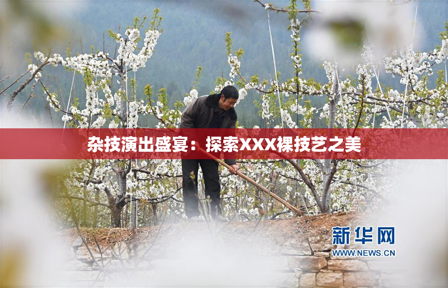 杂技演出盛宴：探索XXX裸技艺之美